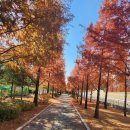 참(charm)행정사 사무소 이미지