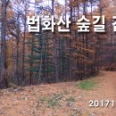 20171223 " 아그네스님과 법화산 황금빛 이깔나무숲길 " 이미지