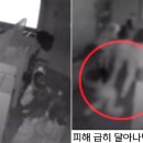 분당-239 이미지