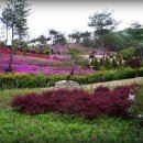 (주)재주 이미지