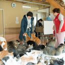 마음든 동물병원 이미지