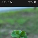 선택의 기로에서.. 이미지