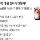 라인댄스(낮) 이미지