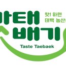태백시농업기술센터 이미지