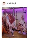 반월마을회관 내 | [★안산 한우맛집★] 반월한우마을 찐 후기!!!