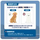 방주동물의료센터 이미지