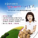 대관령아름다운펜션 이미지