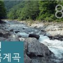 2023년 7월 30일 봉오산(722M)비래암(970m)갈전계곡/강원 화천 이미지