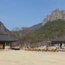 농현축산 네이버블로그