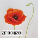 전자매아틀리에