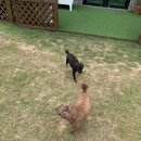 대성상회 이미지