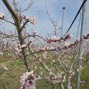 정정농장 이미지