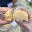 반월놀이공원 | [인천/굴포천] 반월놀이공원 굴포천 벚꽃 🌸 :: 인천 벚꽃 명소 피크닉 추천