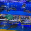 나래관광펜션 이미지