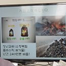 장난감학교쓸모
