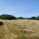 온평초등학교 이미지