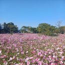 독서토론과 글쓰기 이미지