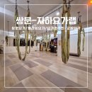 더요가필라테스덕천교육관 | 쌍문 요가원 추천 플라잉요가 재활교정 요가 지도자 양성교육관 [자하요가랩]