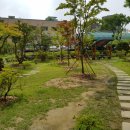 대전고등학교정문 앞 이미지