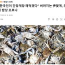 어가식품 티스토리