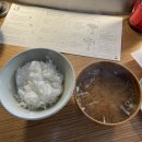 코카-콜라 레드리본 맛집 압구정 히키니쿠토고메도산 일본식 함박스테이크 맛집