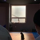 한양라온유도관 이미지