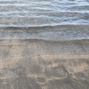 서신동-03(파리바게트앞) | [ 제주도 2박3일 태교여행 #03 ] 우진해장국 아침 웨이팅, 우진해장국 포장, 이호테우 해수욕장, 카페...