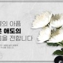 샵브리나 네이버블로그