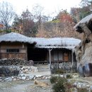 고향생각 Daum카페
