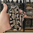 파충류샵 렙타일스테이션 이미지