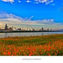 강변체육공원 이미지