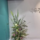 박우경치과교정과치과의원 이미지