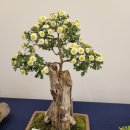 금산다락원 스포츠센터 실내체육관 이미지