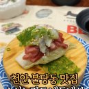 불당동일 | 천안 불당동 회전초밥 맛집 스시노칸도 내돈내산 후기