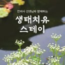 치유스테이 이미지