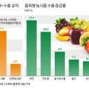 단푸드 이미지