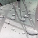 서진세차장 이미지