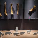 서귀동 천지연 생수궤 이미지