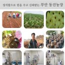 동진2농장 이미지