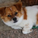 약천메기탕 이미지