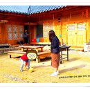 단양삼시세끼 이미지