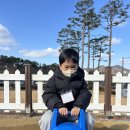 🩷임실 119 안전체험관🩷 이미지