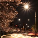 신천동로 이미지