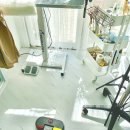 강아지미용실 정독 이미지