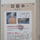 로뎀트리스파 이미지