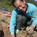 농사이야기 농담 이미지