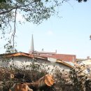 당목마을 당제 이미지