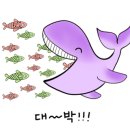 꾸버찌 - 달성군 유가읍 | 꾸버찌