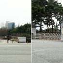 도심속정원