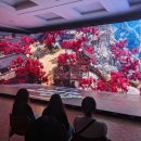 어비스투 이미지